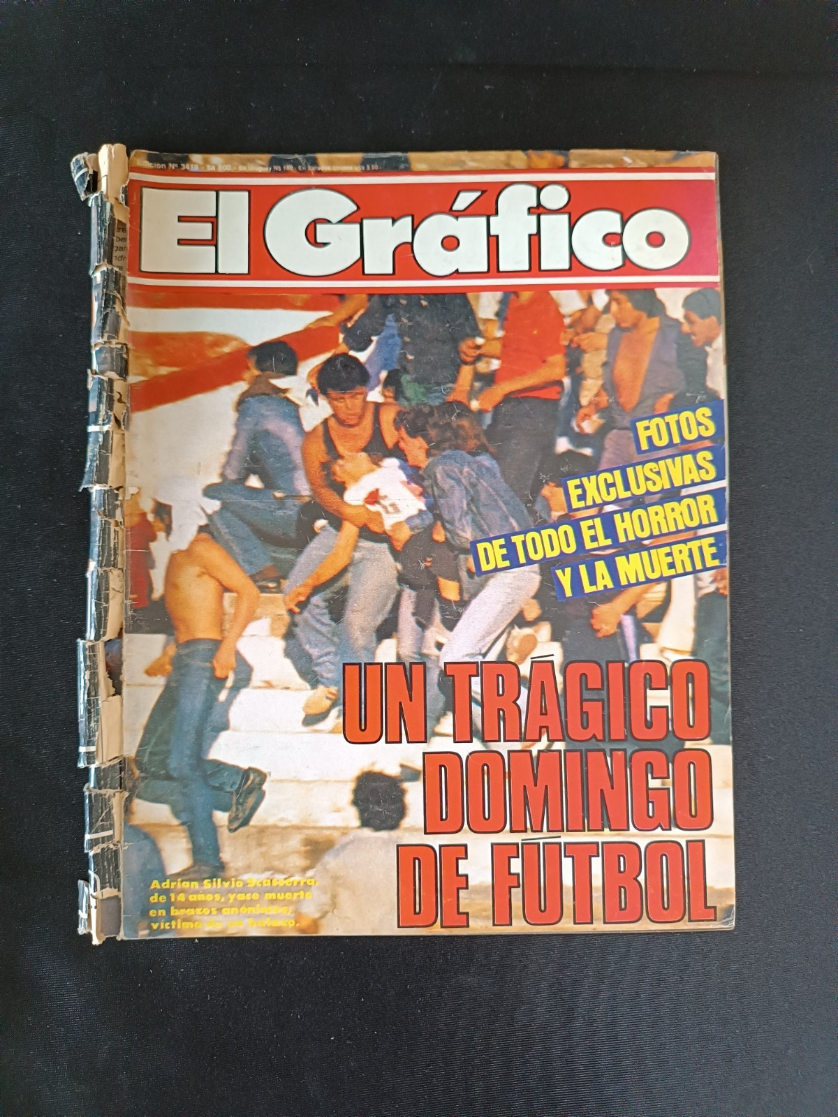 Image #6