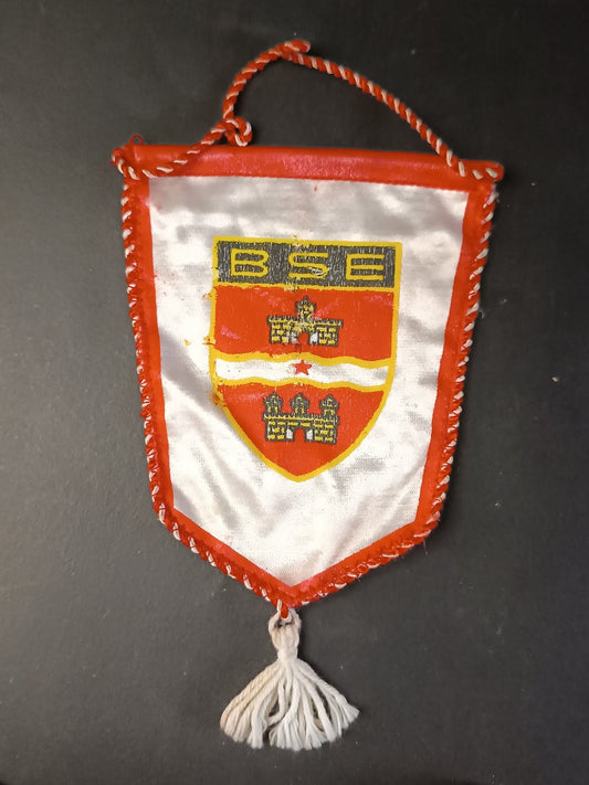 basket pallacanestro BSE gagliardetto
