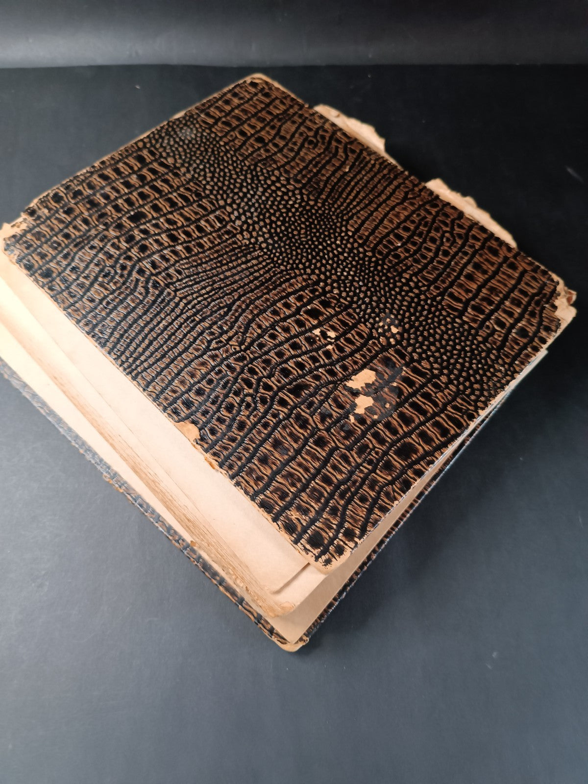 Image #3