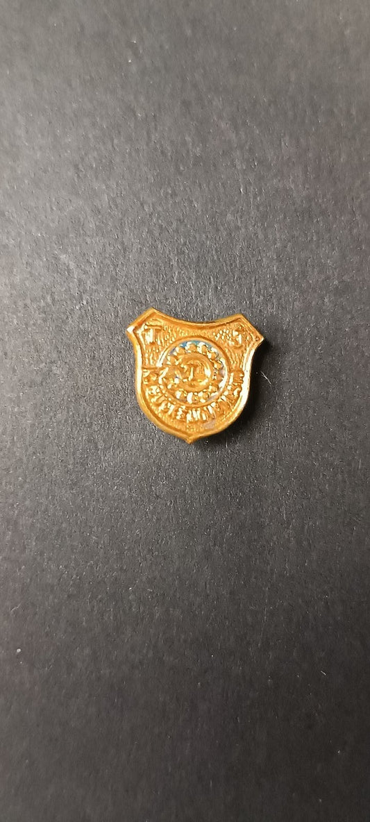 spilla badge pins badge onorifico Sovietico
