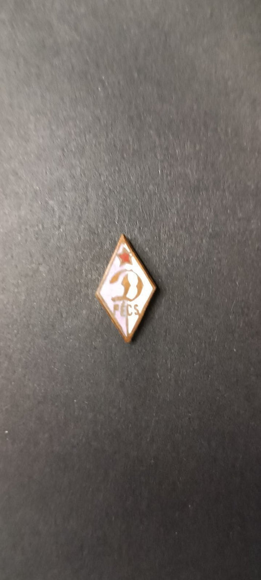 spilla badge pins Dinamo