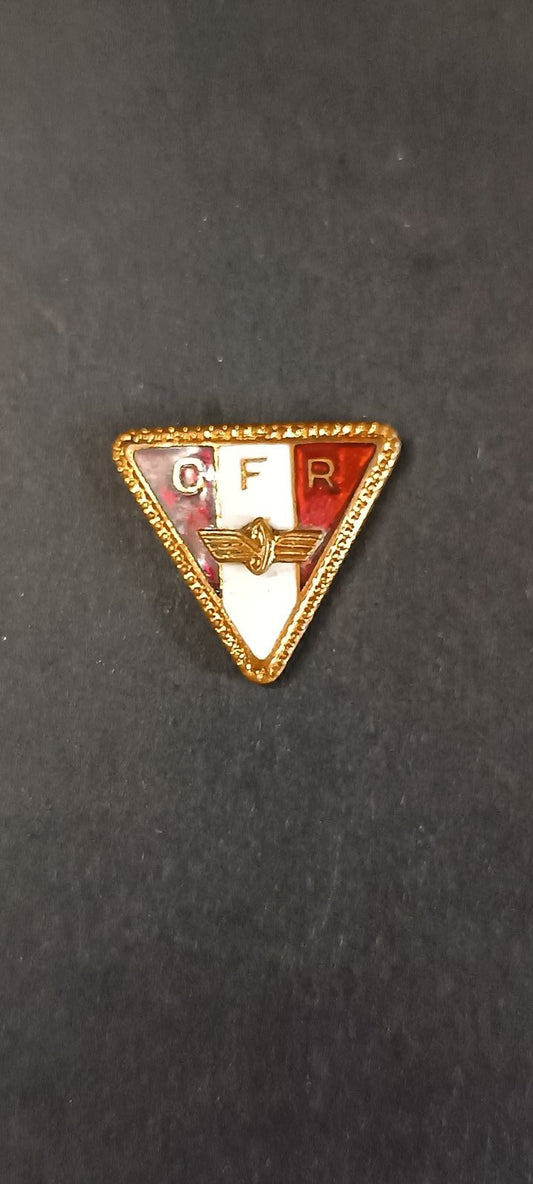 spilla badge pins CFR